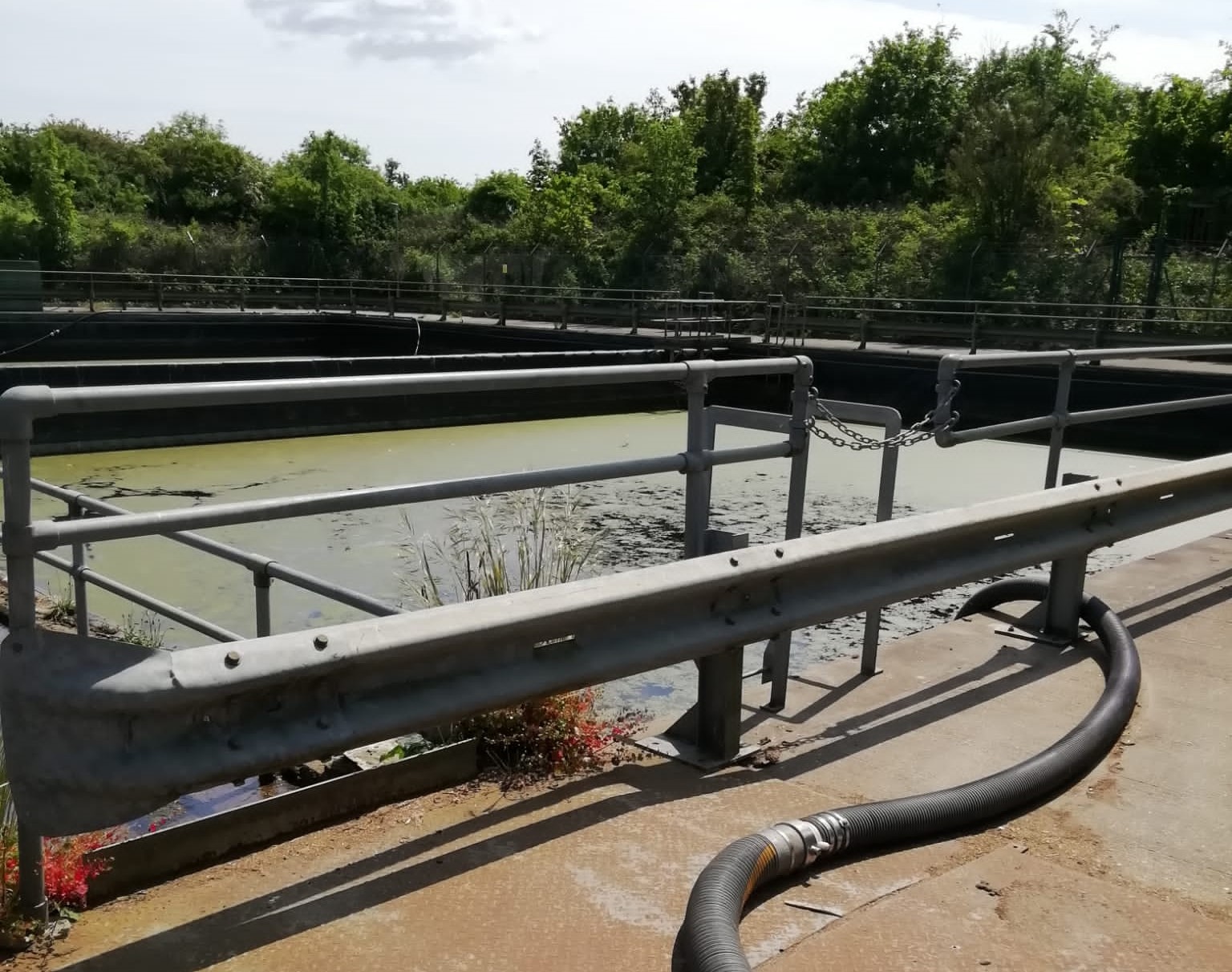 Lagoons and Ponds